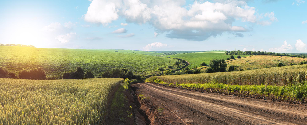 Antimosquitos Paraguay